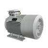YE2 Series Motor