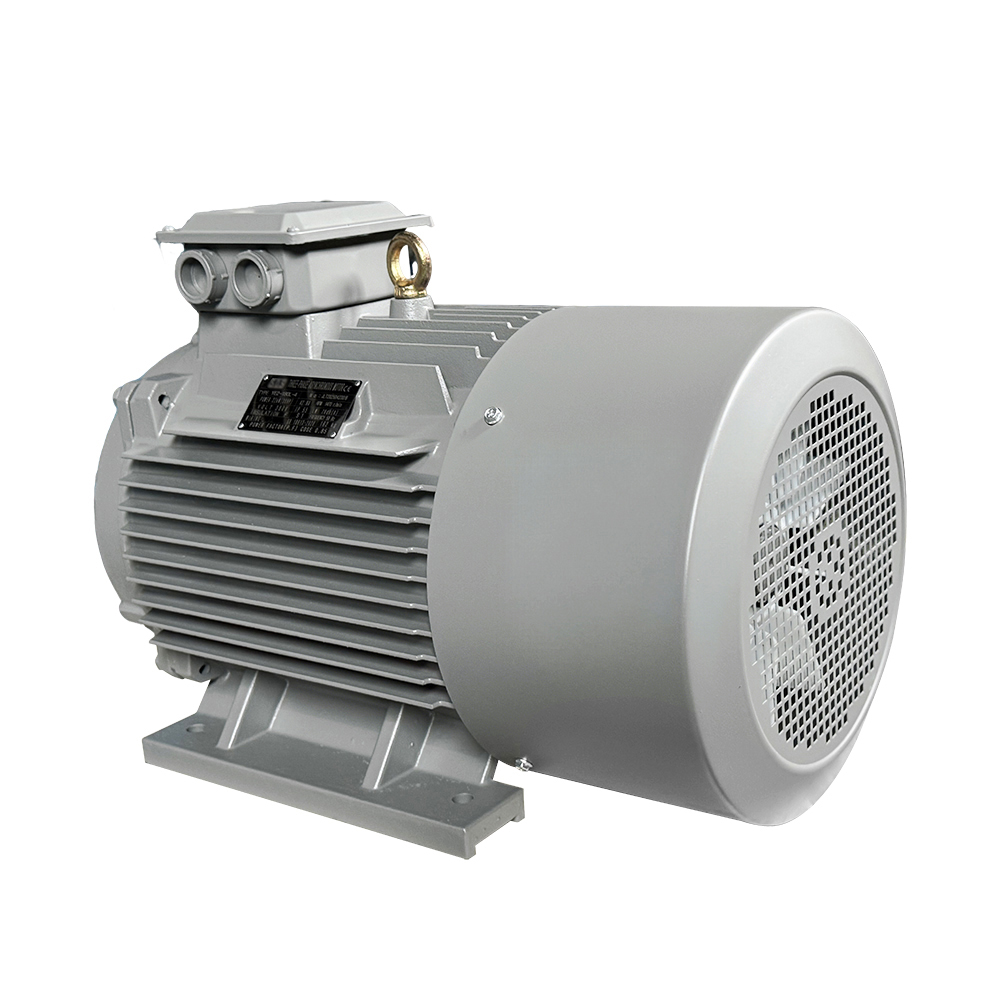 YE2 Series Motor