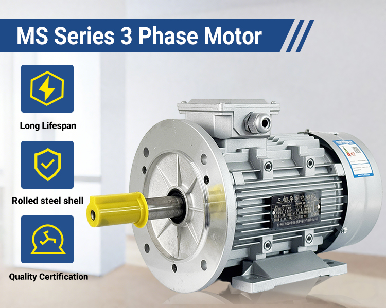 Compact Low-Maintenance MS Electric Motor