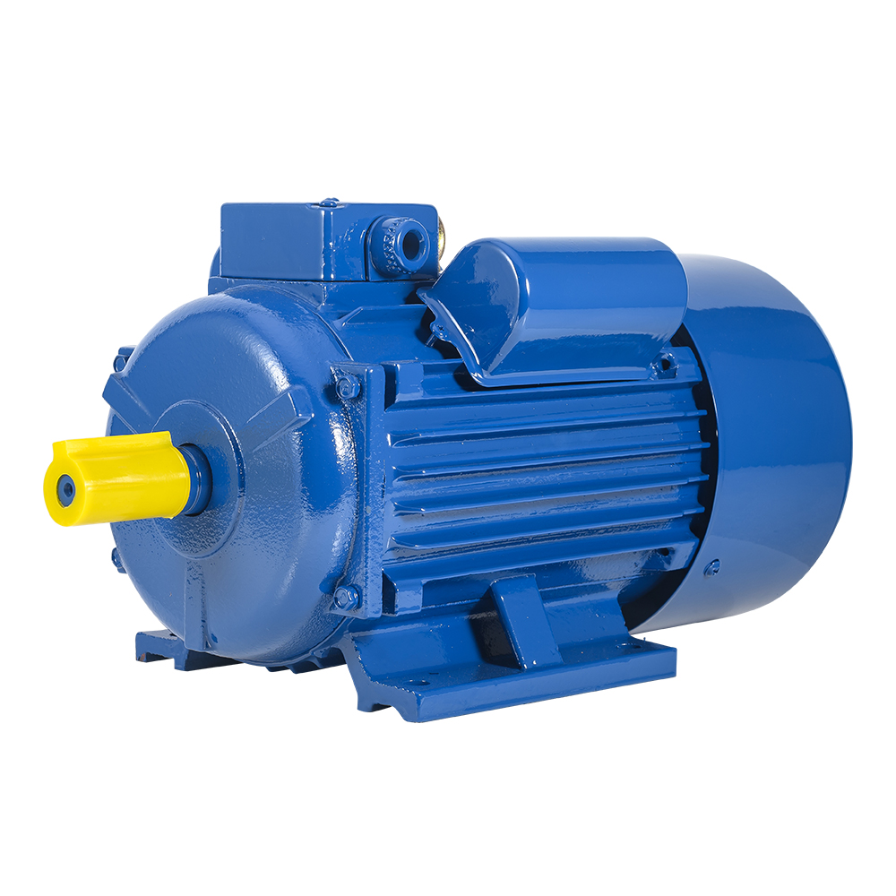 YL-100L1-4 2.2KW Single Phase Motor