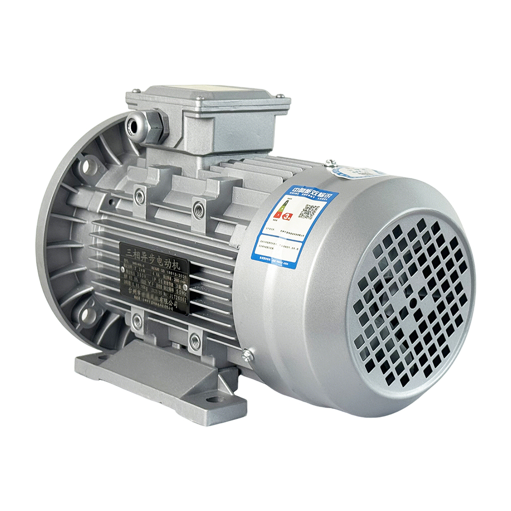 MS Series Motor