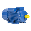 YL-100L1-4 2.2KW Single Phase Motor
