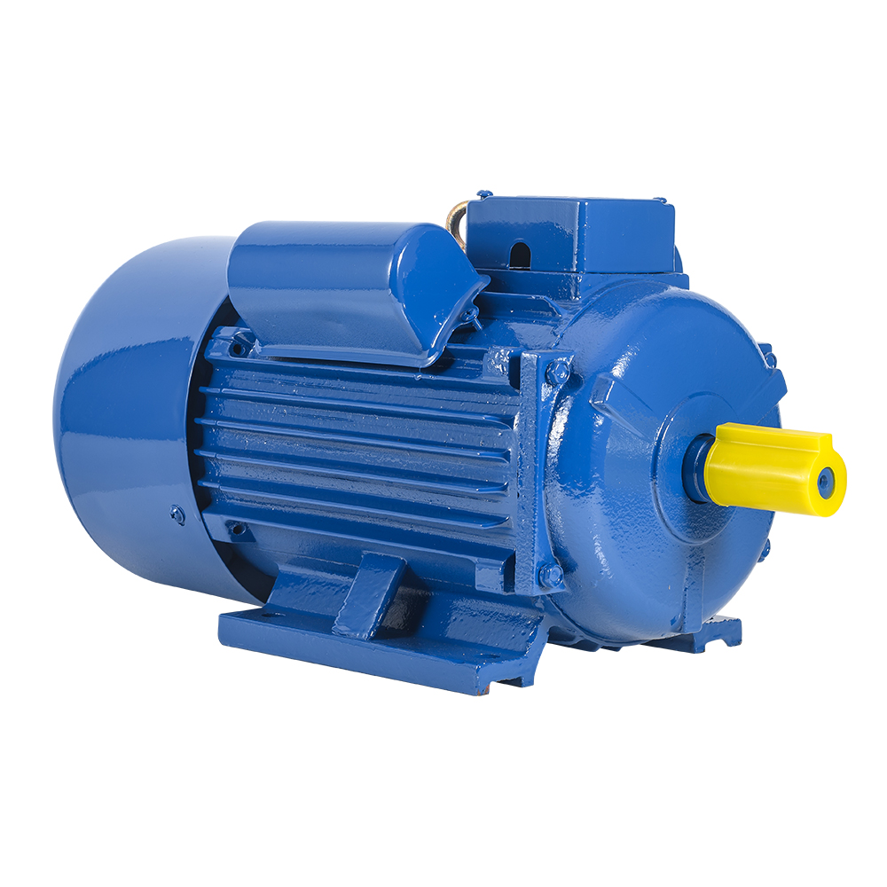 YL-100L1-4 2.2KW Single Phase Motor