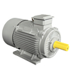 YE2 Series Motor