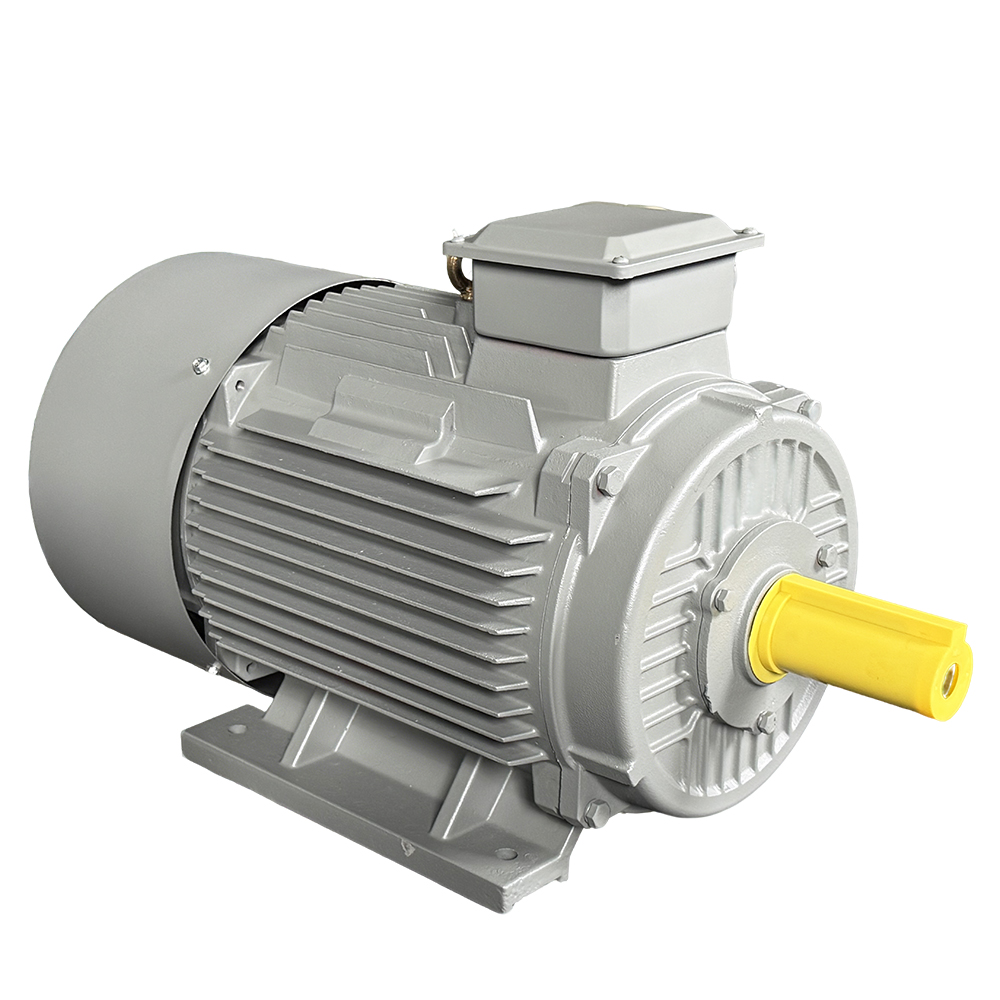 YE2 Series Motor