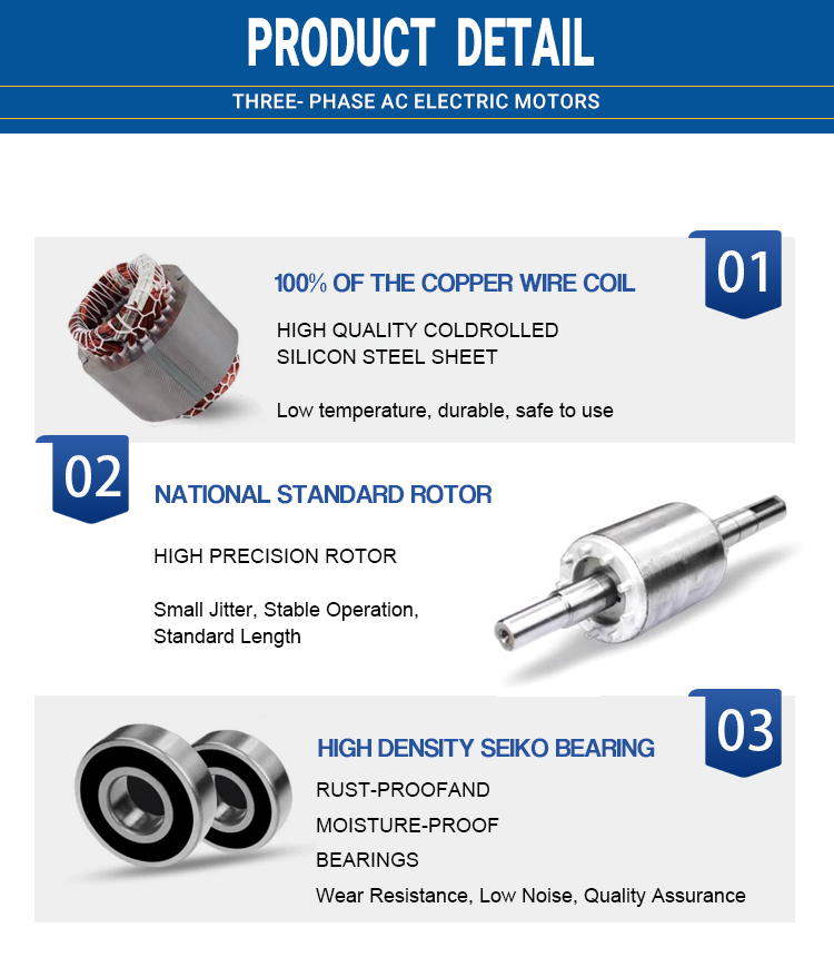 Compact Low-Maintenance MS Electric Motor
