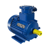 YBX Explosion-proof motor