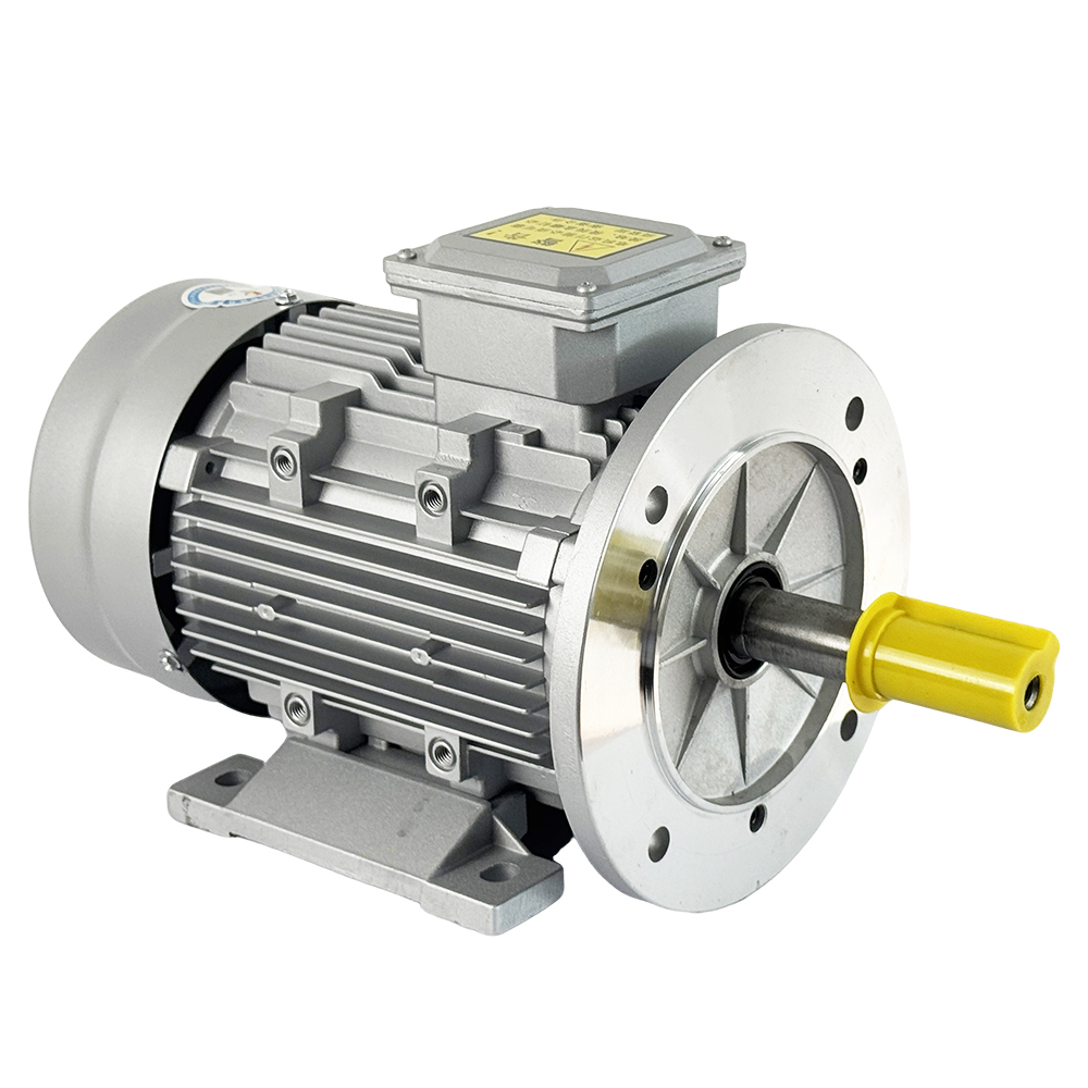 MS Series Motor