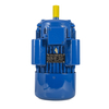 YL-100L1-4 2.2KW Single Phase Motor