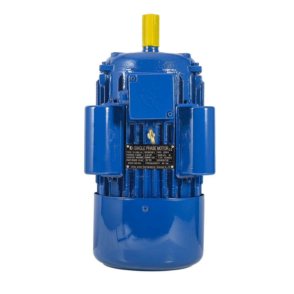 YL-100L1-4 2.2KW Single Phase Motor