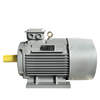 YE2 Series Motor