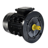 MS-80M2-4 0.75KW three phase motor