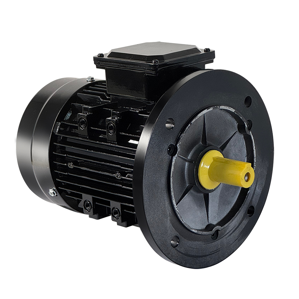 MS-80M2-4 0.75KW three phase motor