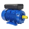 YL Series Motor