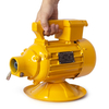 ZN-50 1.1KW Vibrator Motor