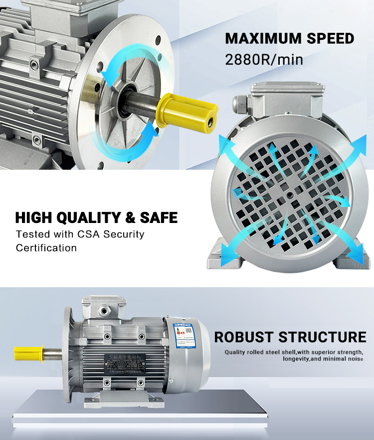 Compact Low-Maintenance MS Electric Motor