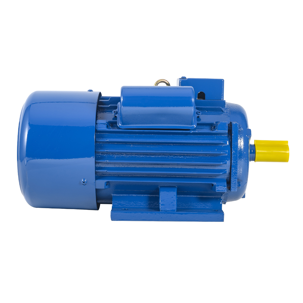 YL-100L1-4 2.2KW Single Phase Motor