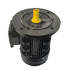 MS-80M2-4 0.75KW three phase motor