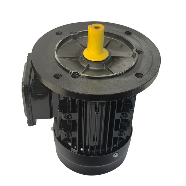 MS-80M2-4 0.75KW three phase motor