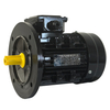 MS-80M2-4 0.75KW three phase motor