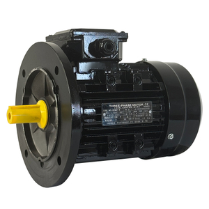 MS-80M2-4 0.75KW three phase motor
