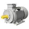 YE2 Series Motor