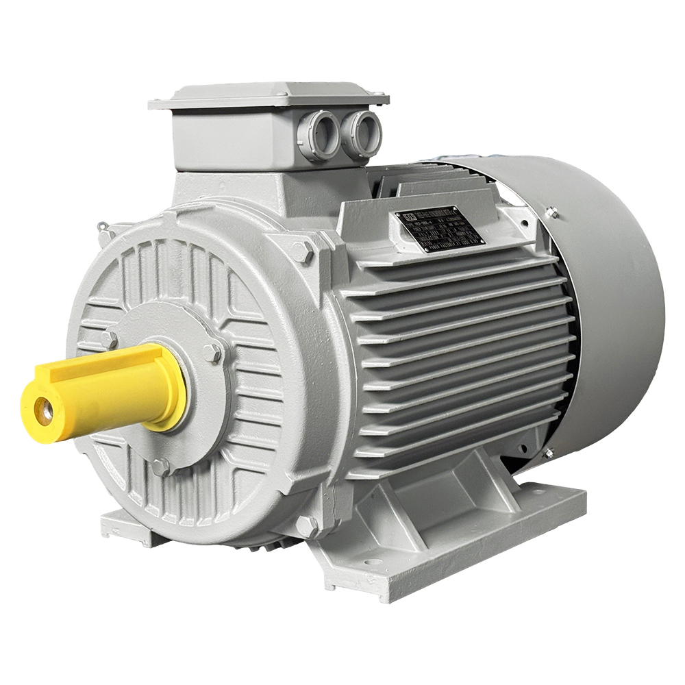 YE2 Series Motor
