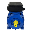 YL Series Motor