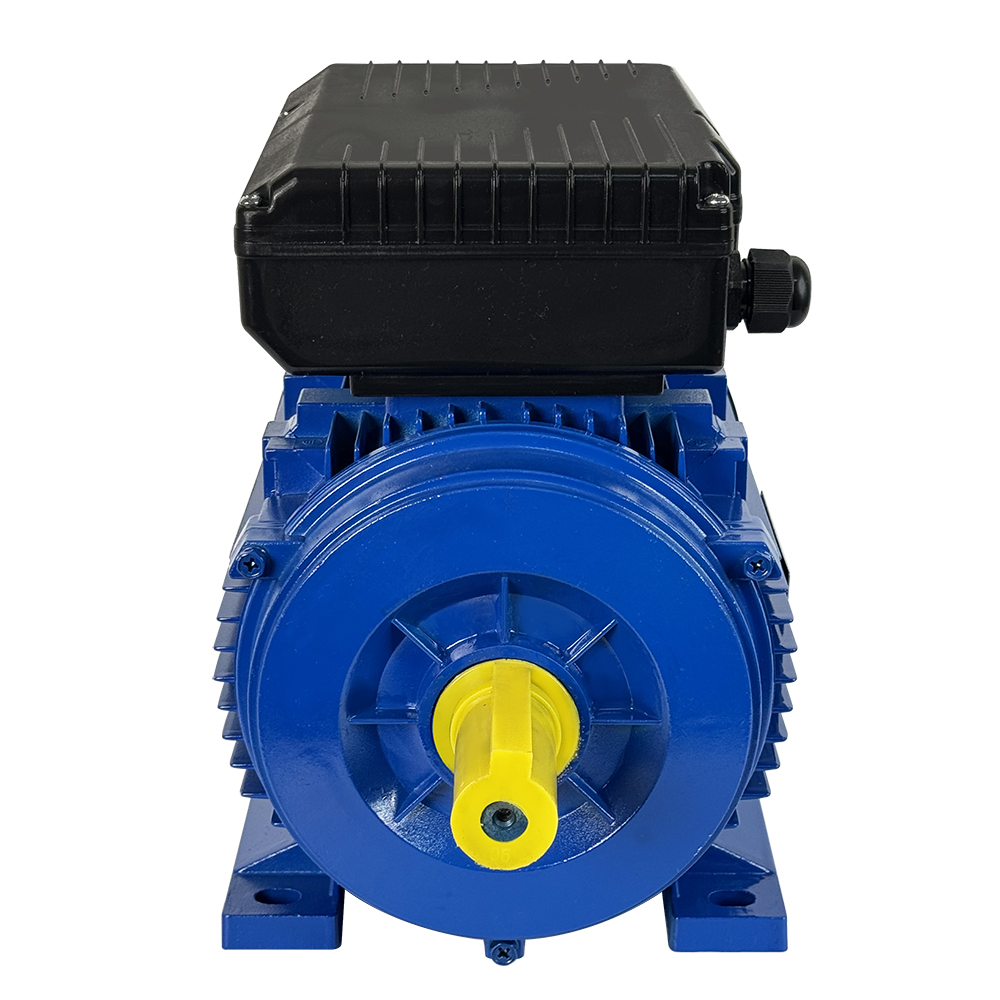 YL Series Motor