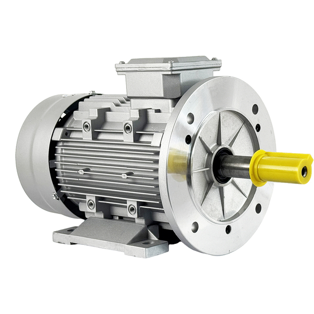 MS Series Motor