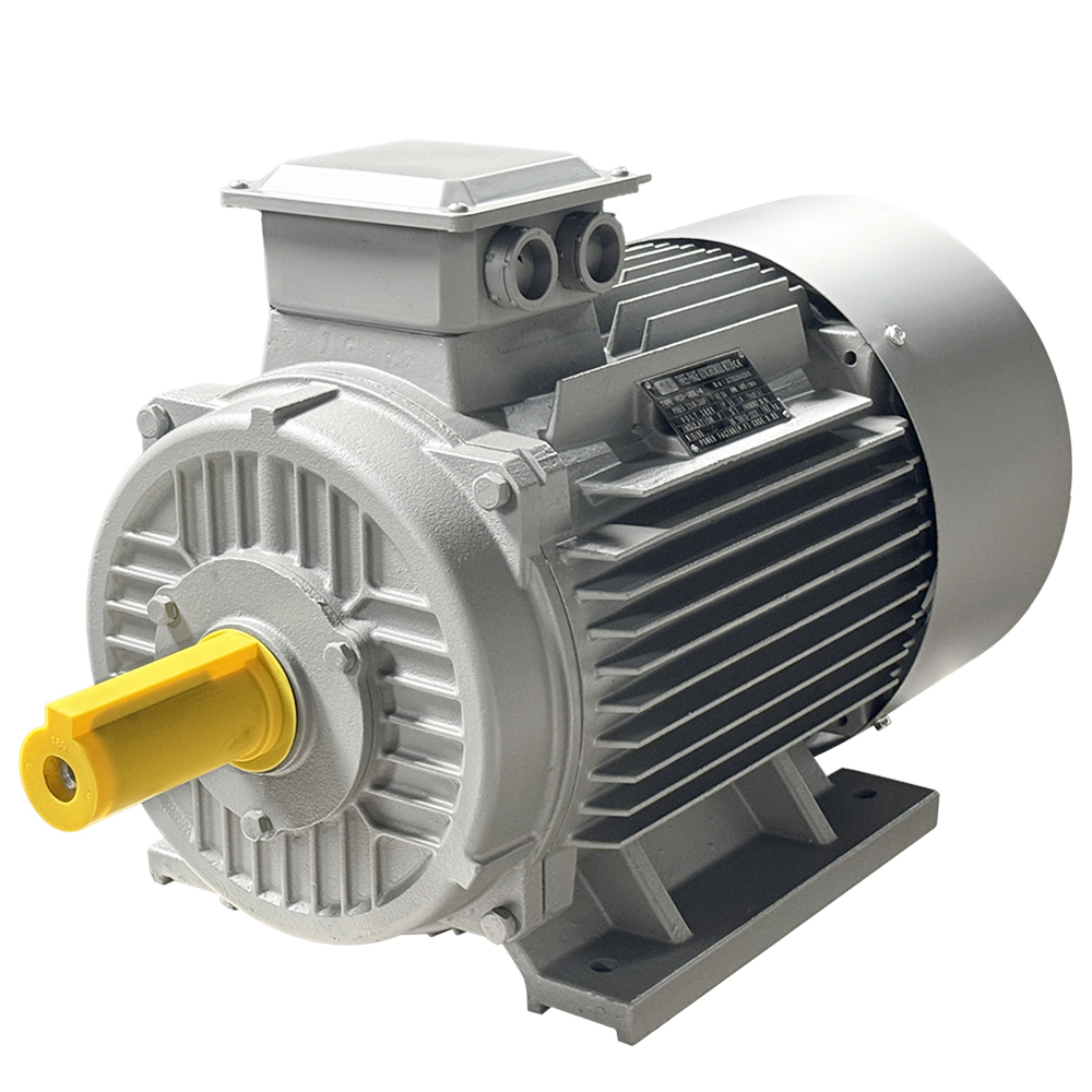 YE2 Series Motor