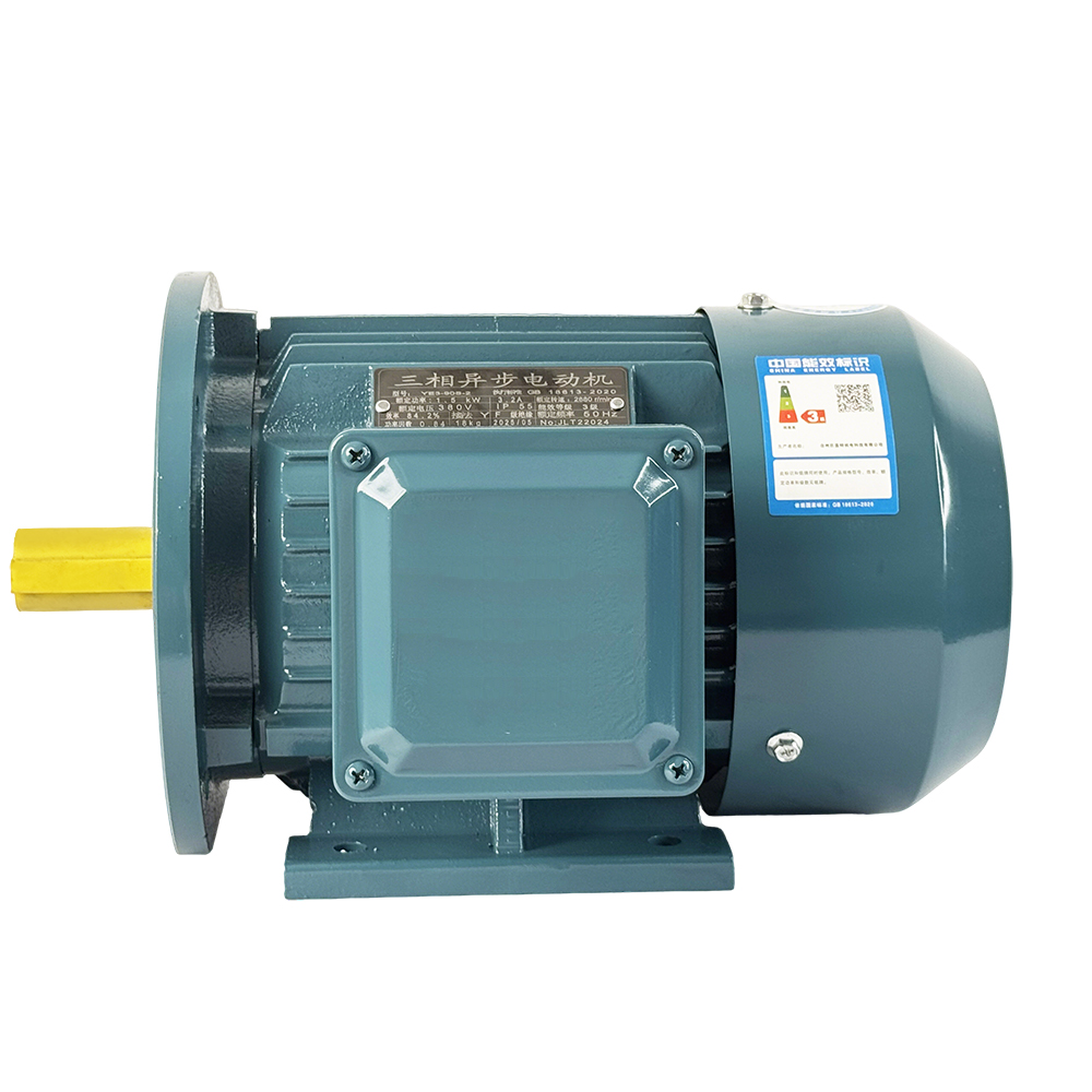 Induction motor condition monitoring and vibration analysis